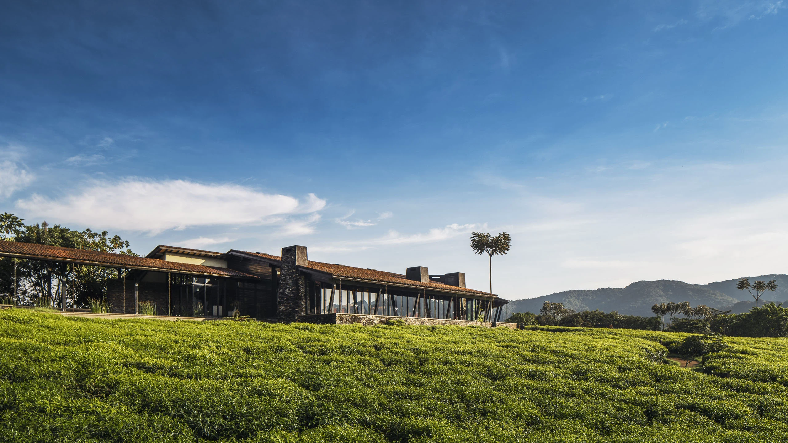Long lodge building at the edge of a tea plantation, One&Only Nyungwe House