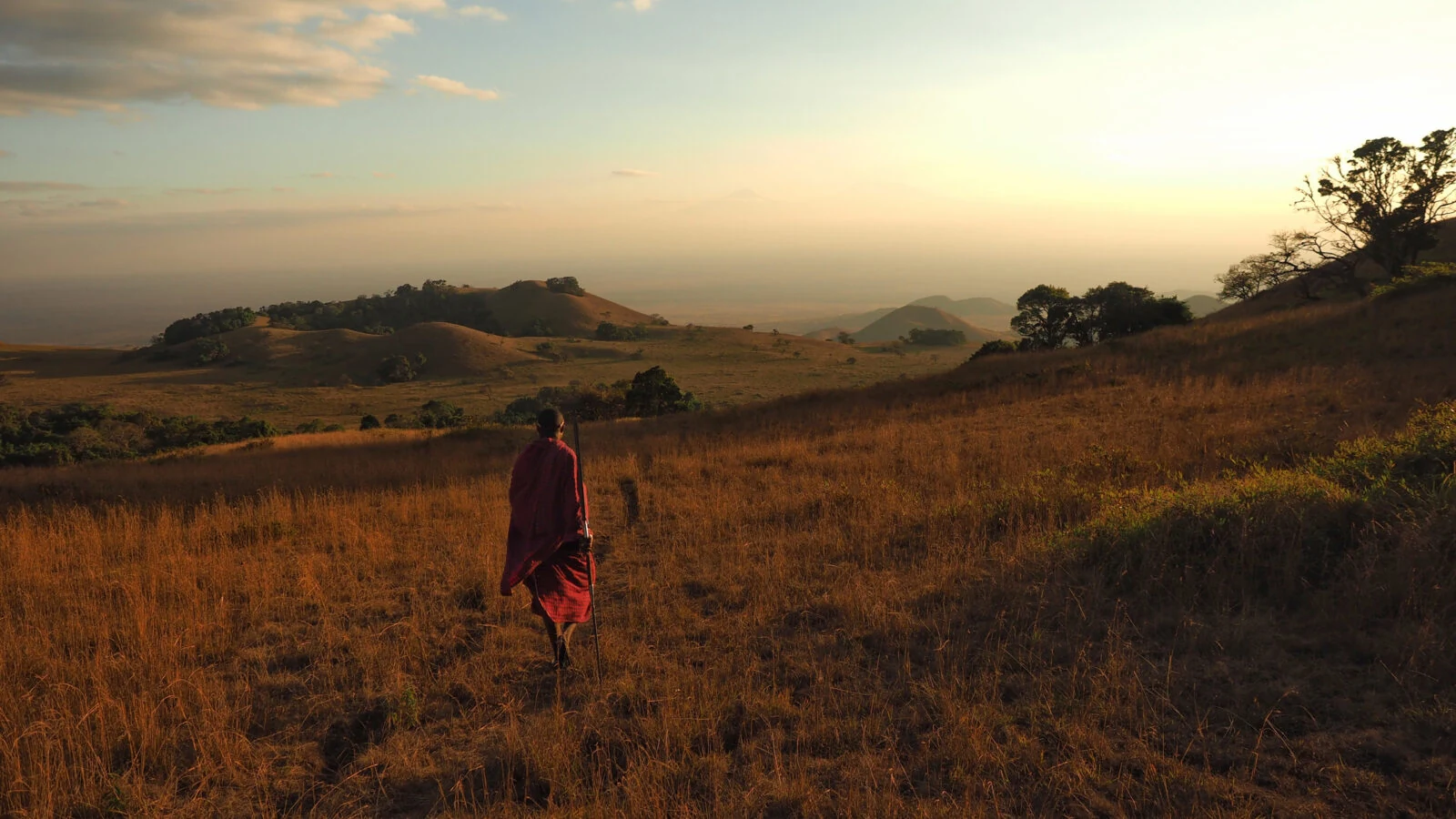 Lone Maasai figure walking through golden grass at sunset, hills beyond