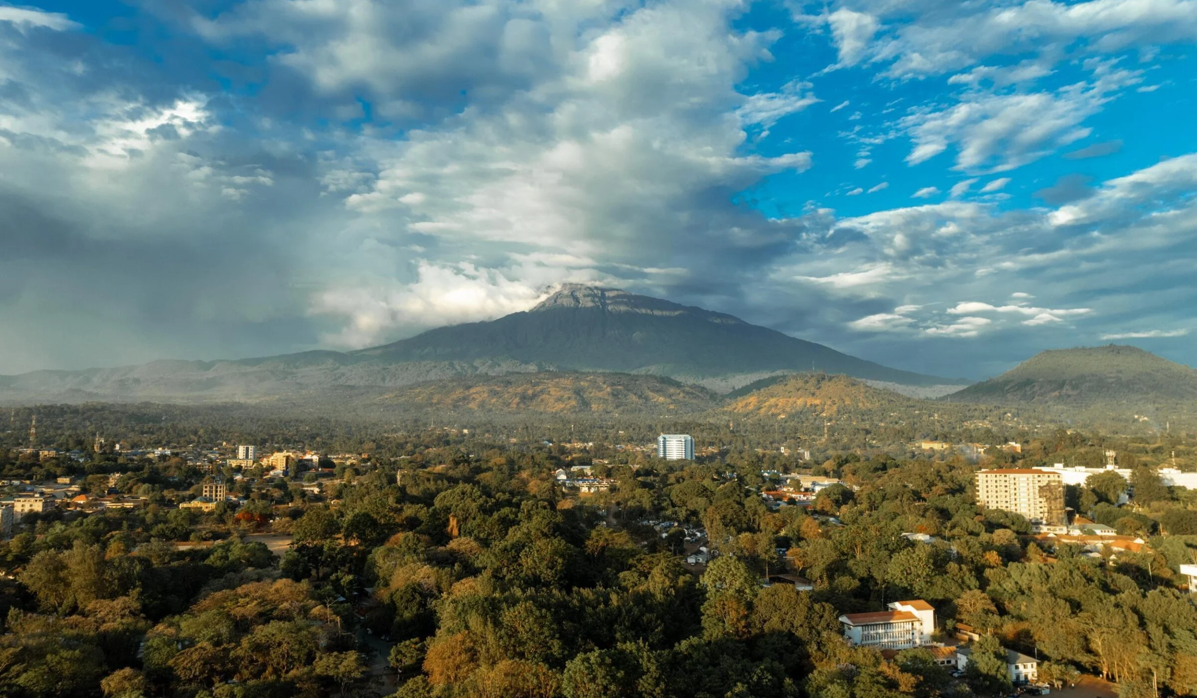 Snow capped mountain rising above a town and tree canopy