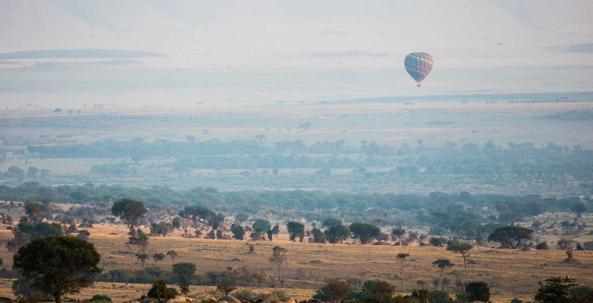 Hot-air balloons drifting over the Serengeti plains