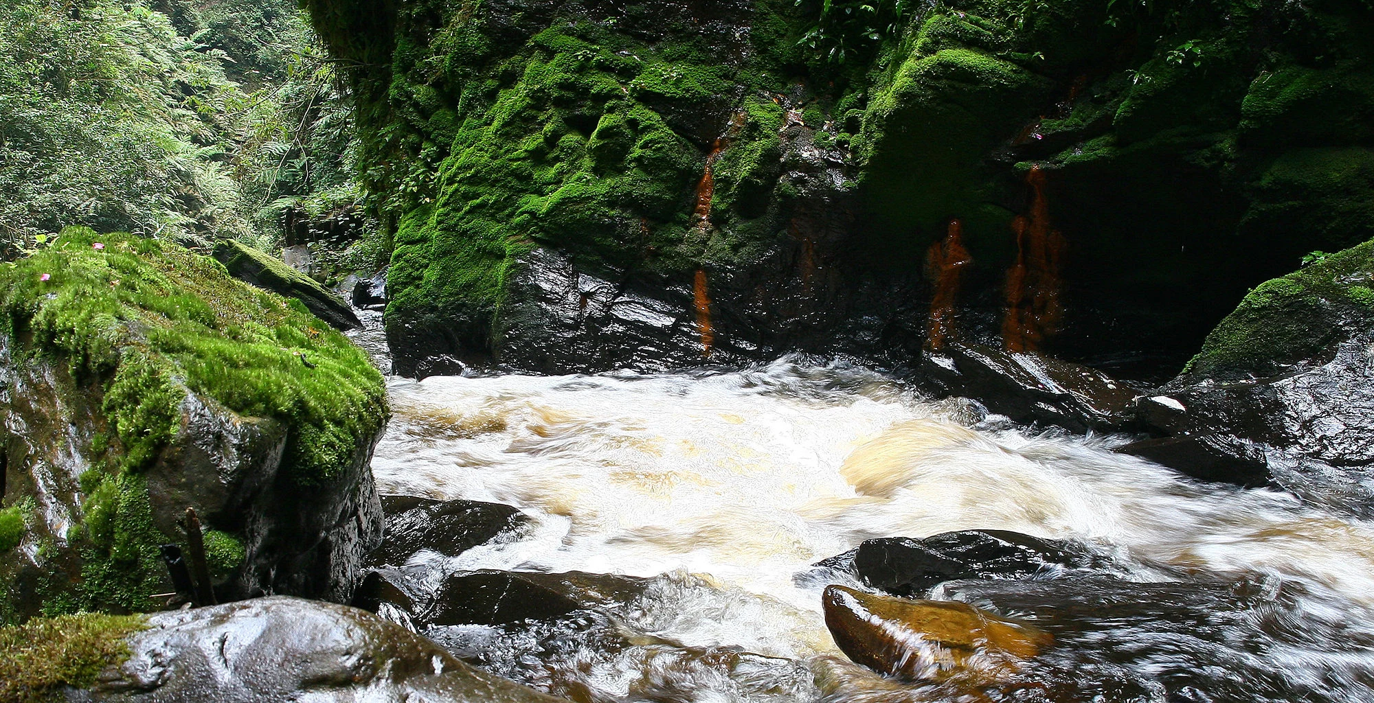 A rushing stream tumbling over mossy rocks in Nyungwe rainforest