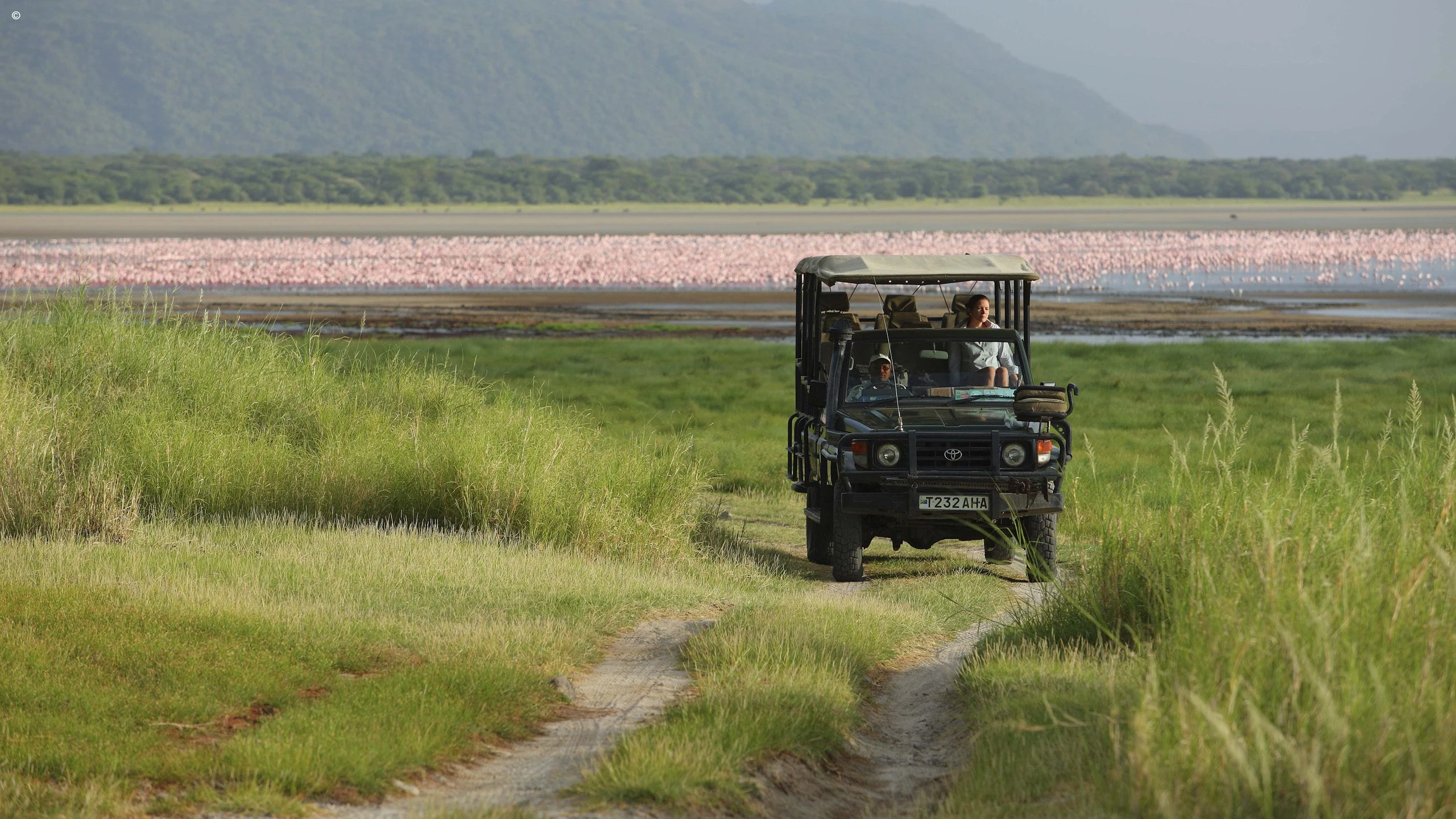 Safari vehicle approaching the lake shore in Lake Manyara National Park