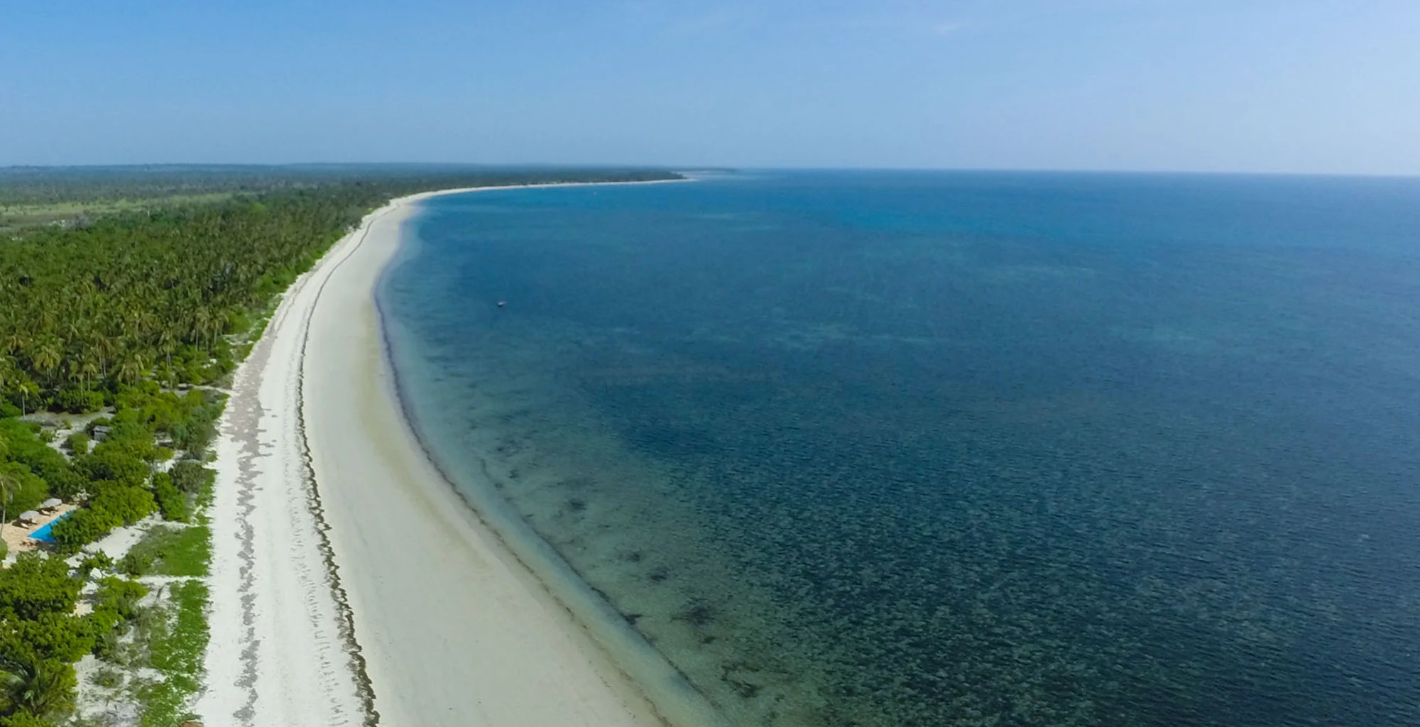 A long empty beach beside forest and open ocean, seen from the air