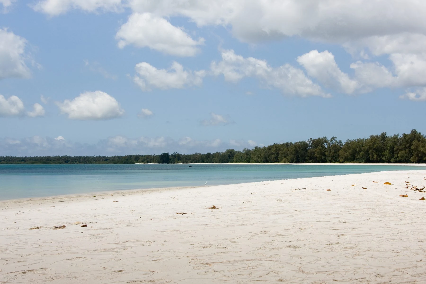 Empty white beach with calm teal water and trees