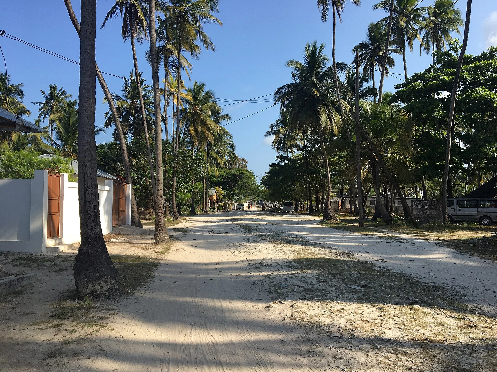 The sandy main road through Jambiani village, lined with palm trees