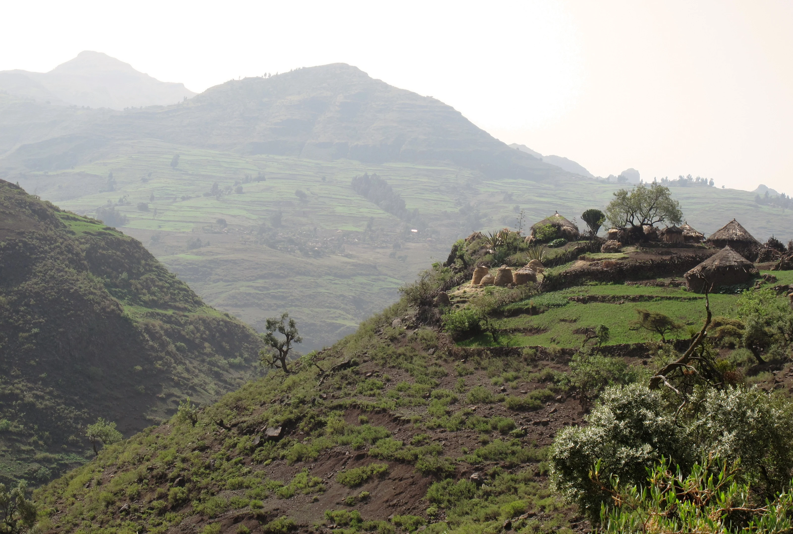 Terraced green hills and thatched huts along the road from Lalibela.