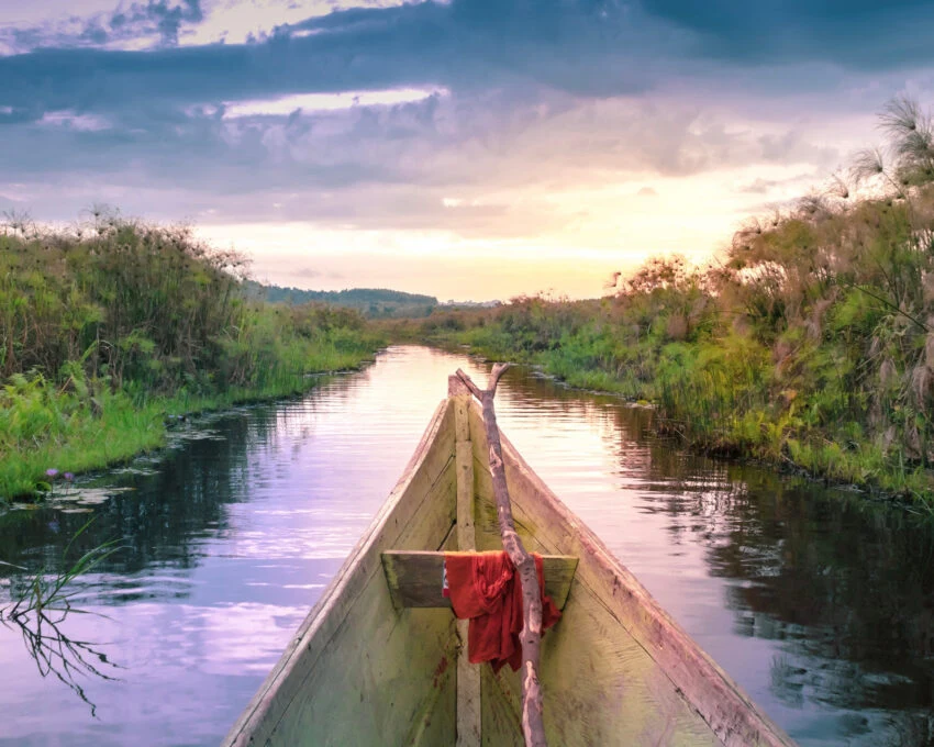 View from the bow of a wooden canoe on a channel in Mabamba Swamp