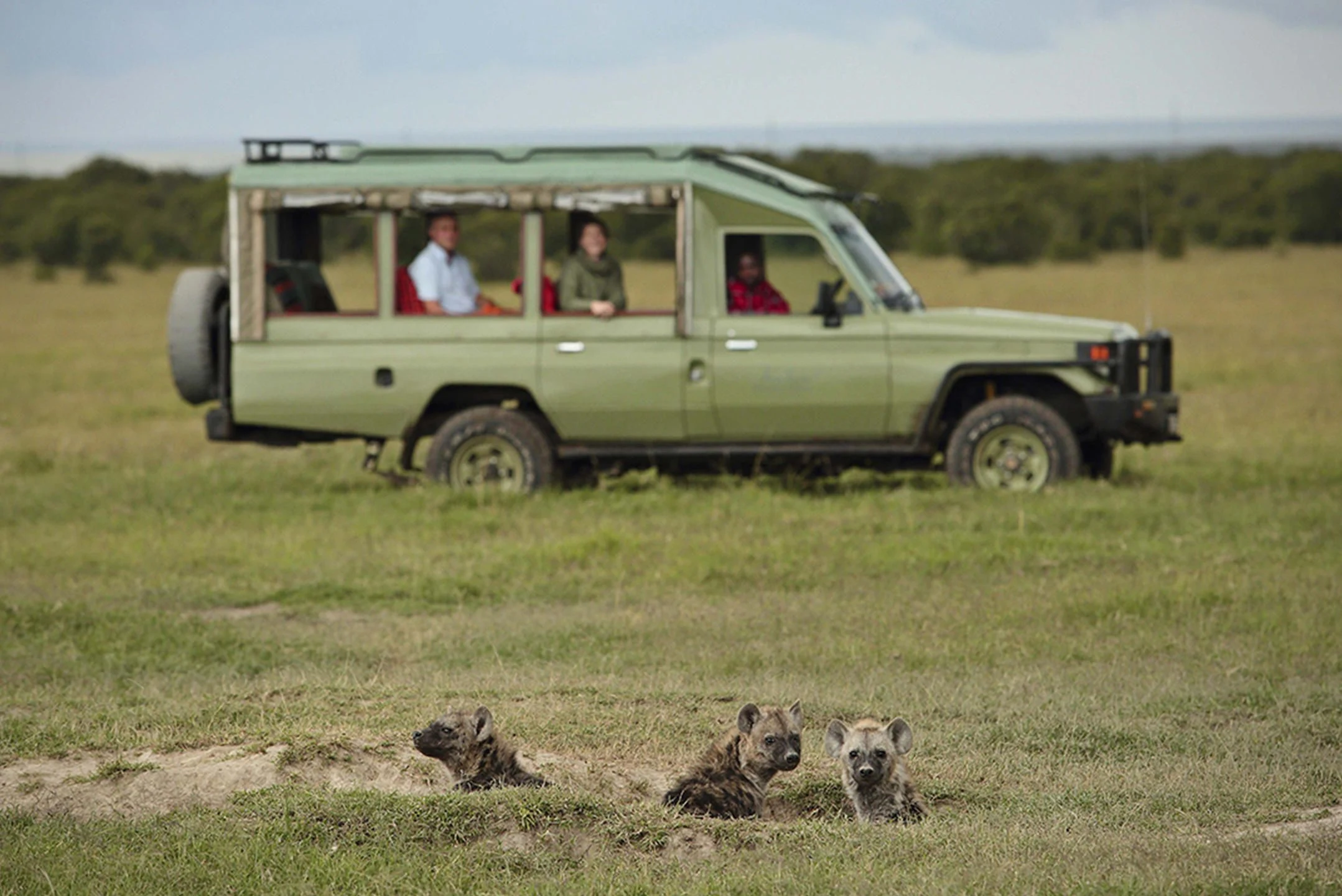 Guests in an electric safari vehicle watching hyenas at their den in Ol Pejeta