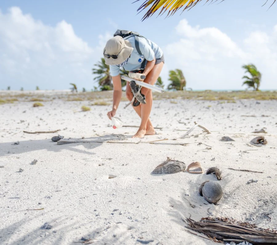 Person collecting debris on beach