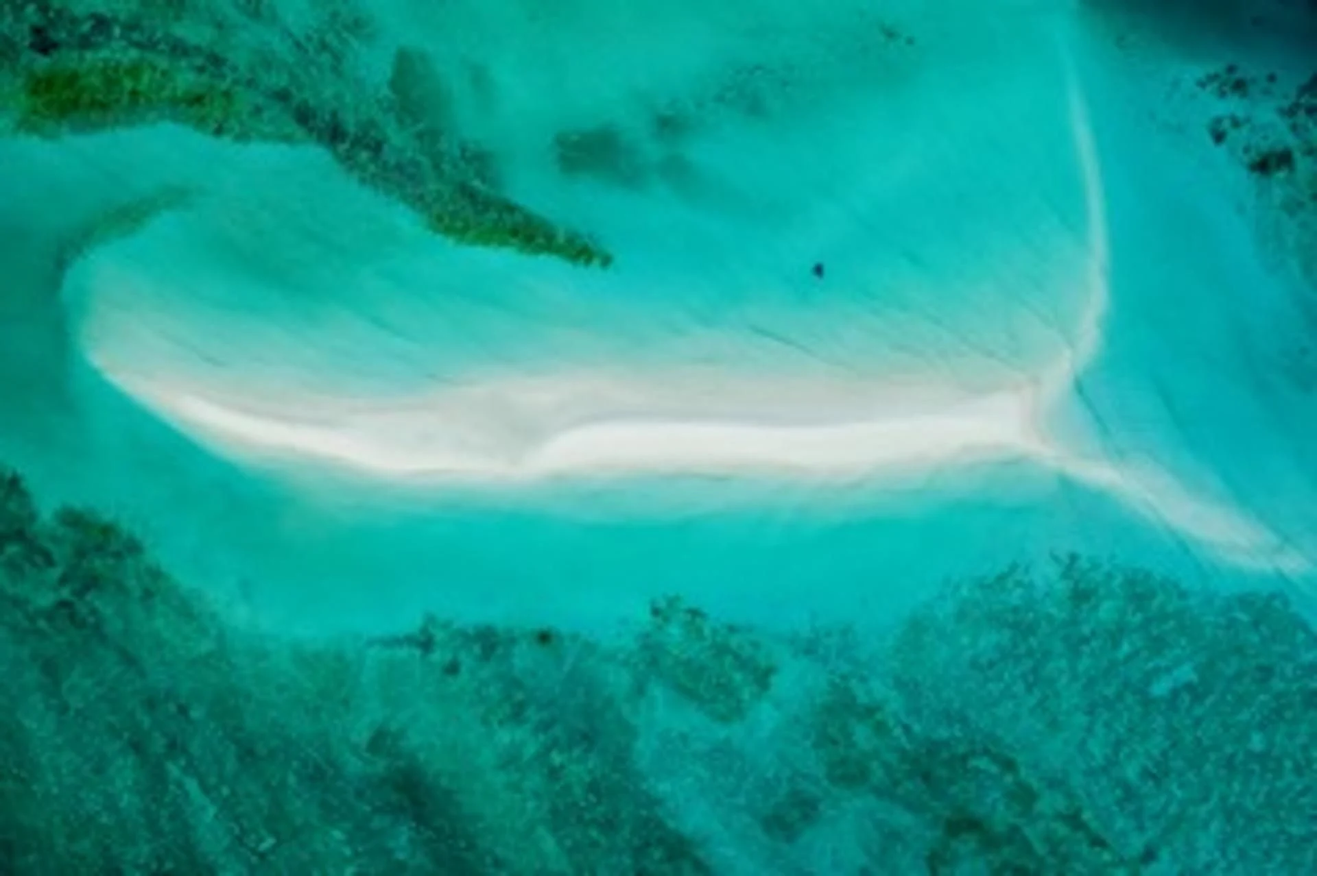 An isolated curved white sandbank in turquoise water