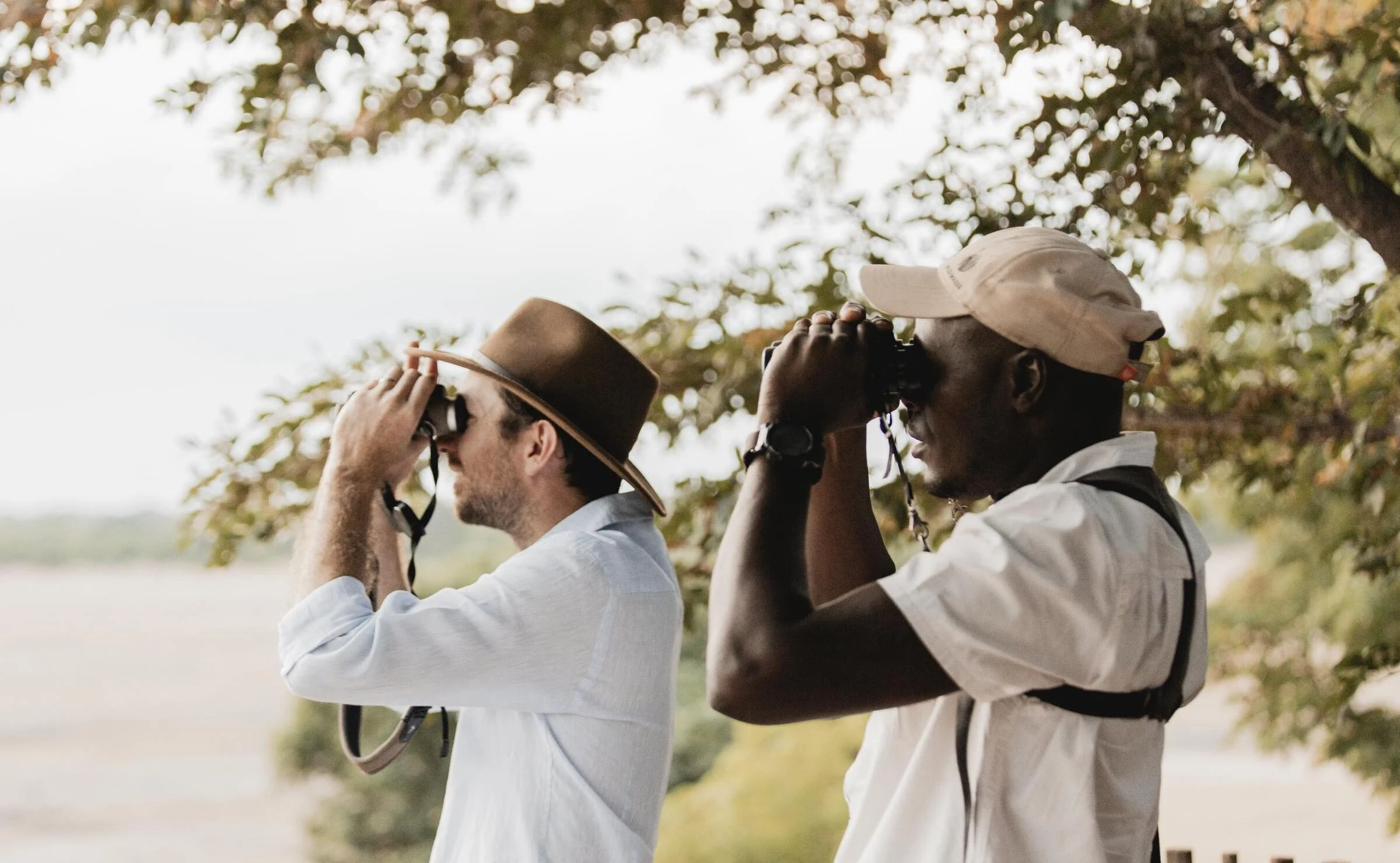 A guest in a brimmed hat and a guide in a cap look through binoculars beneath leafy branches
