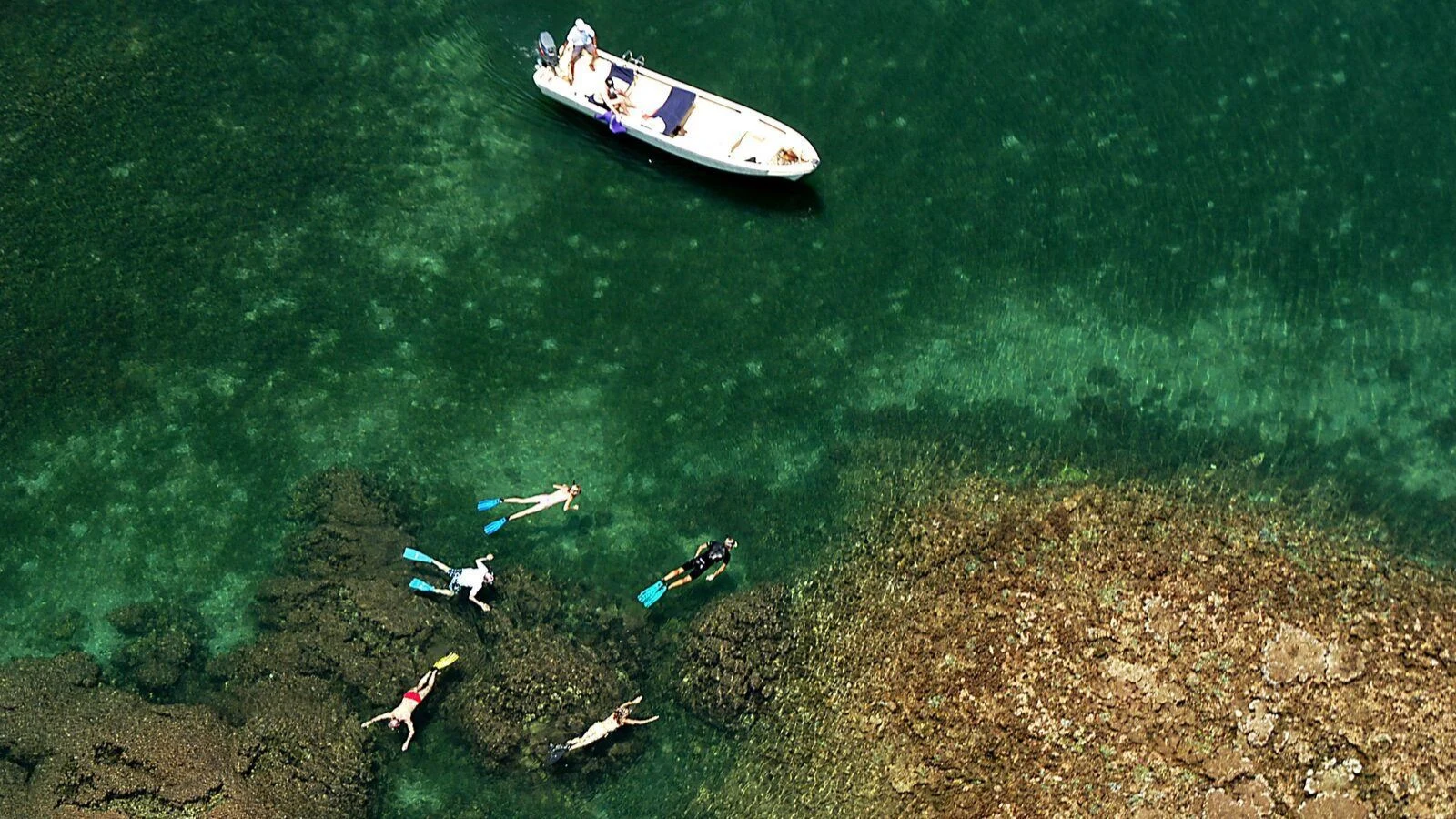 Snorkellers over a reef beside their boat, seen from above