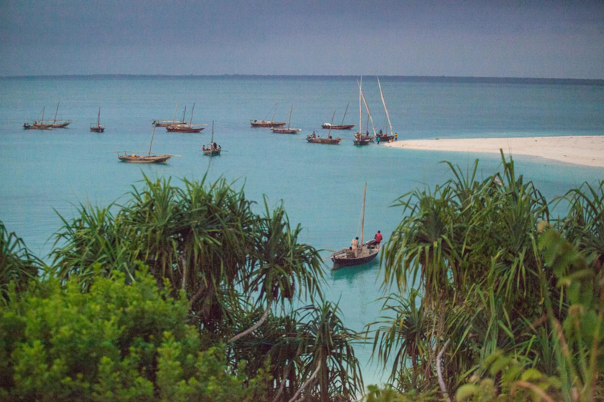 Dhows near a white sandbank beyond pandanus trees