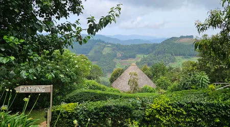 Agandi lodge grounds and camping-area outlook; not a category-specific bedroom photograph