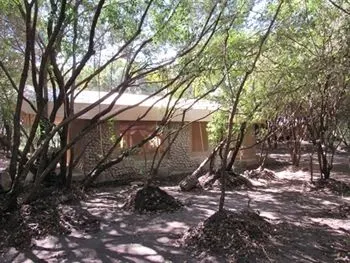 Enchoro tent exterior among trees