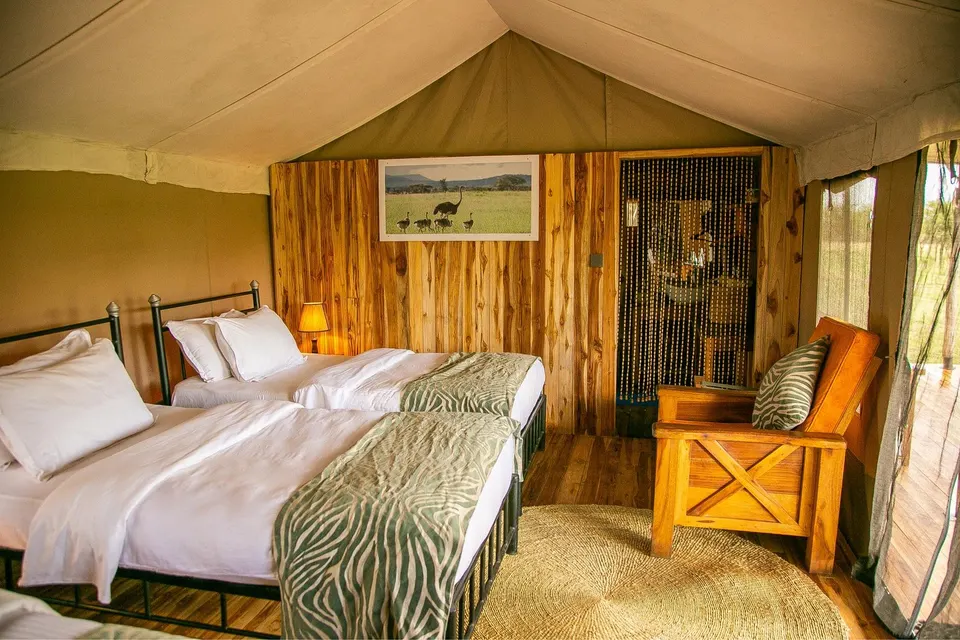 Kontiki Central twin-bedroom interior