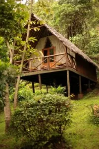 Karama stilted cabin among trees