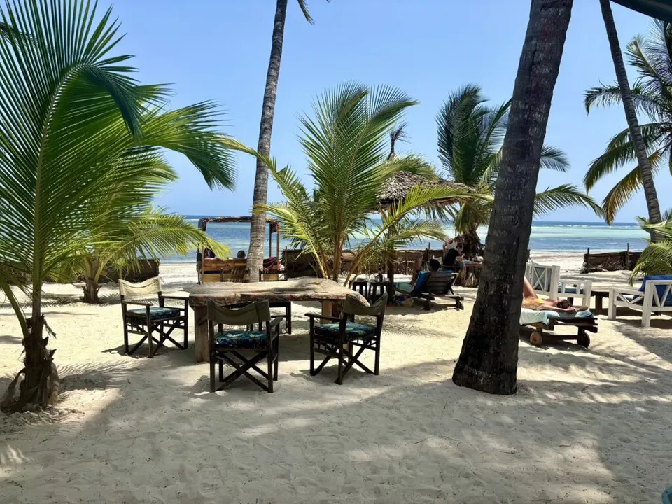 Sawa Sawa Beach House beach dining tables beneath palms