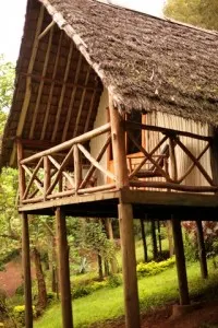 Karama cabin balcony and raised structure