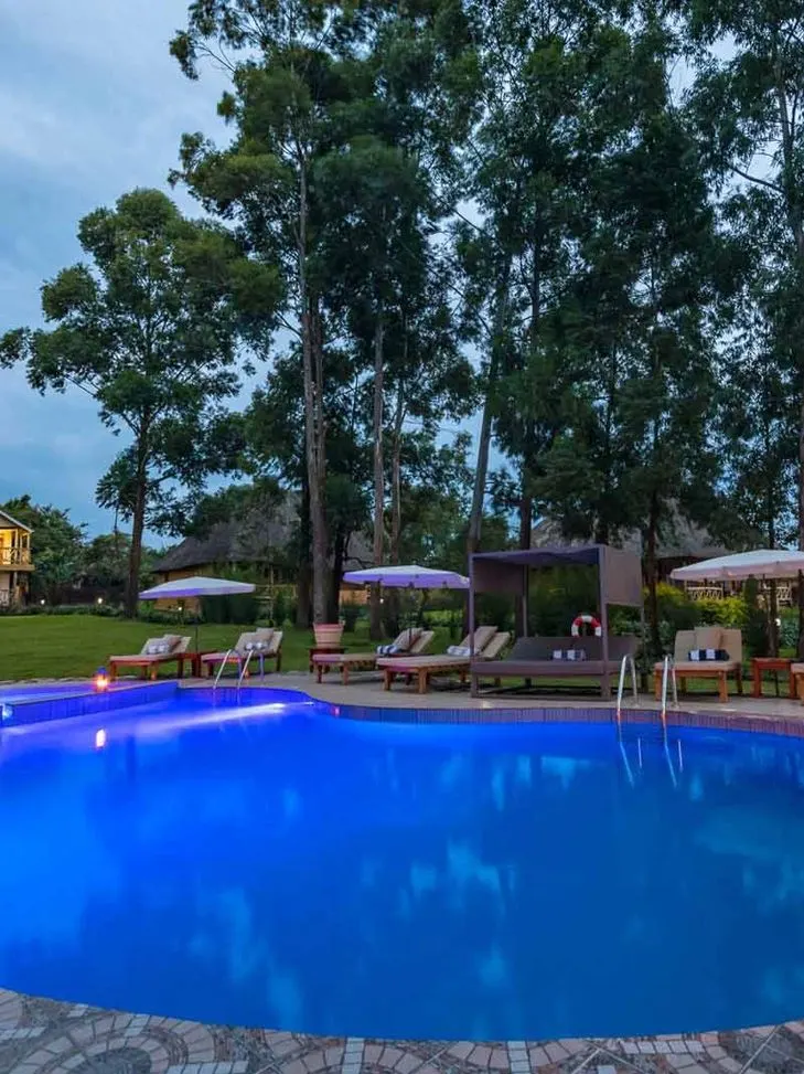 Crater Safari Lodge illuminated swimming pool and surrounding loungers