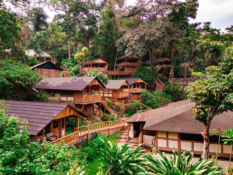 Hillside arrangement of wooden chalets