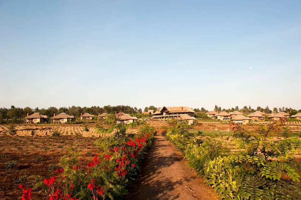 Kitela Lodge cottages and gardens