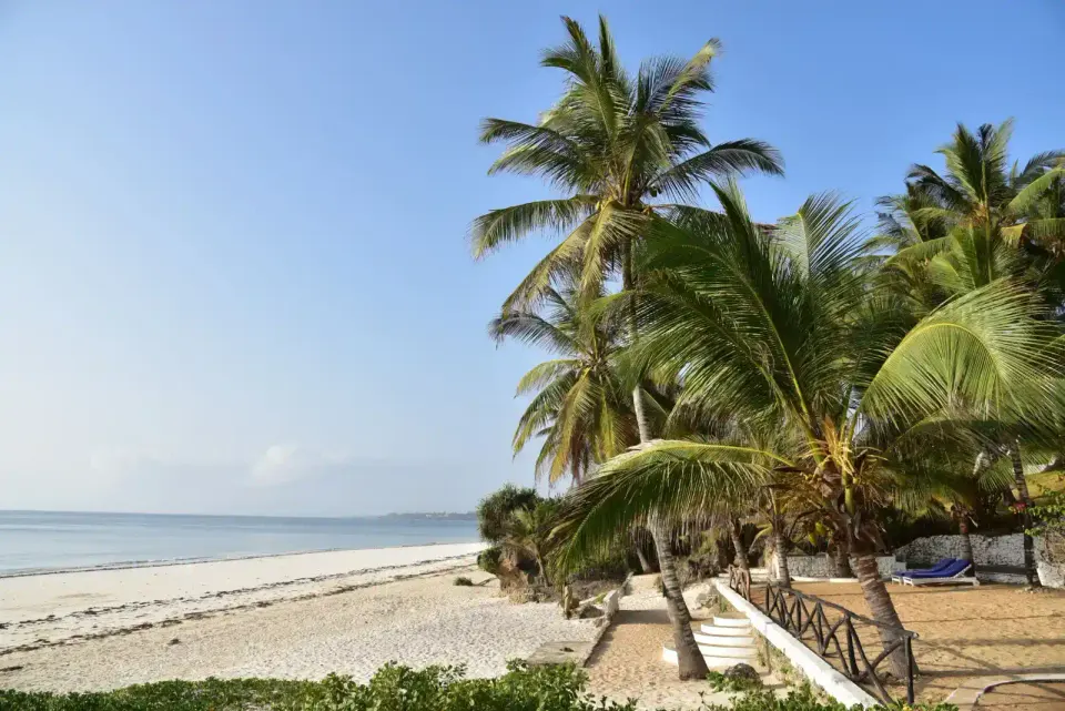 Baobab Sea Lodge setting in operator2026-labelled image collection