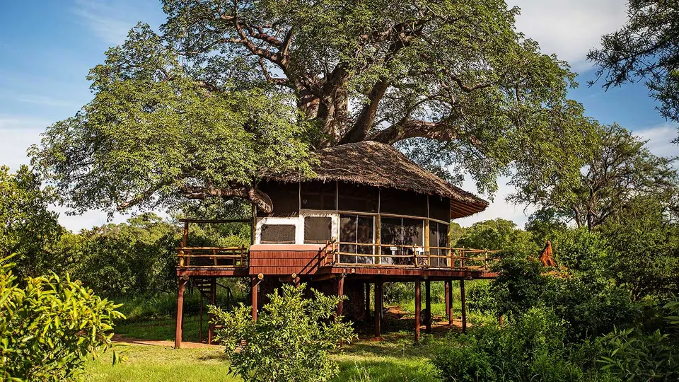 Elevated Treehouse Suite exterior at Tarangire Treetops