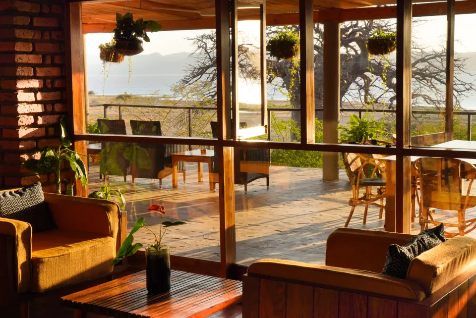 Suricata Boma shared lounge