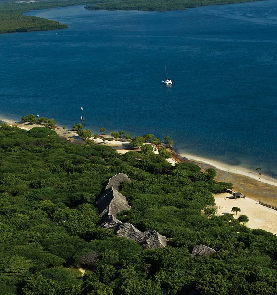 Aerial view of Red Pepper House by coastal woodland