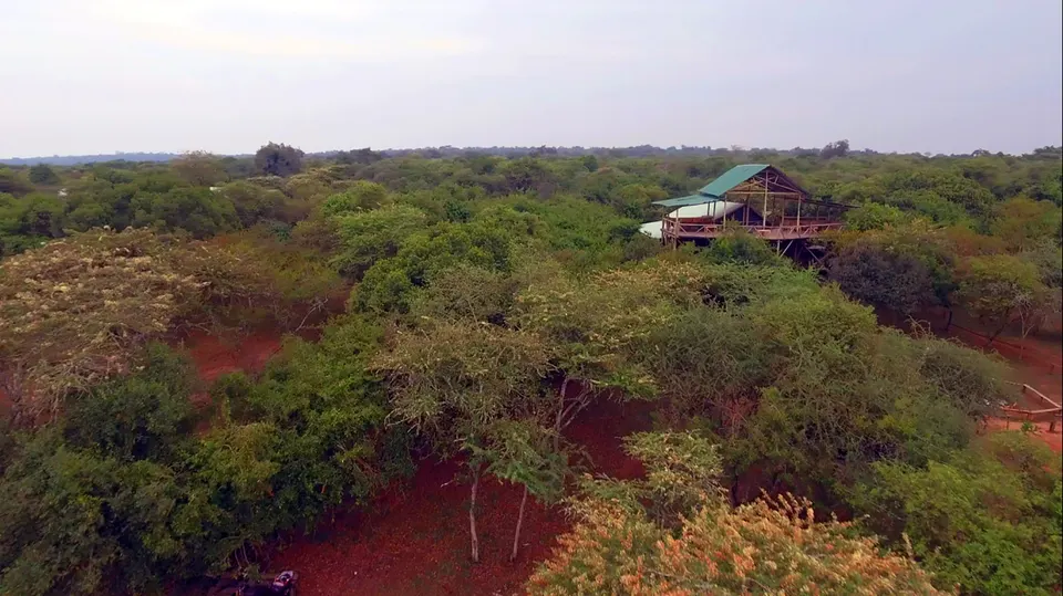 Arcadia Lake Mburo raised lodge building and landscape