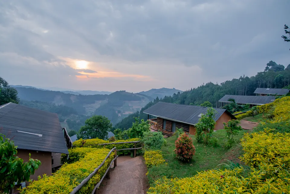 Cabins and terraced hillside at Bakiga Lodge