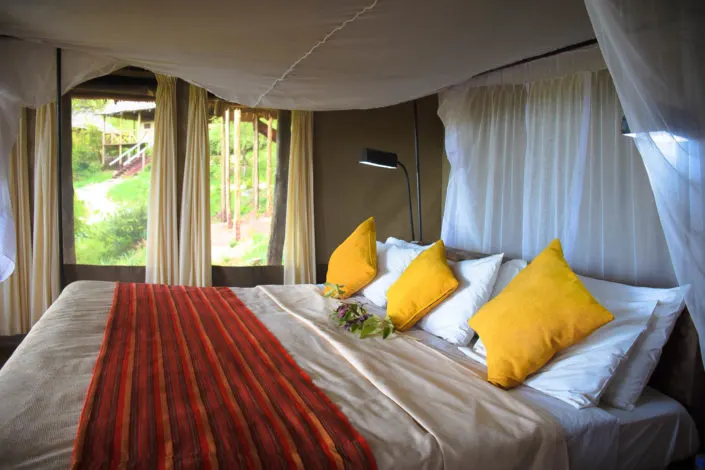Standard room bed and window