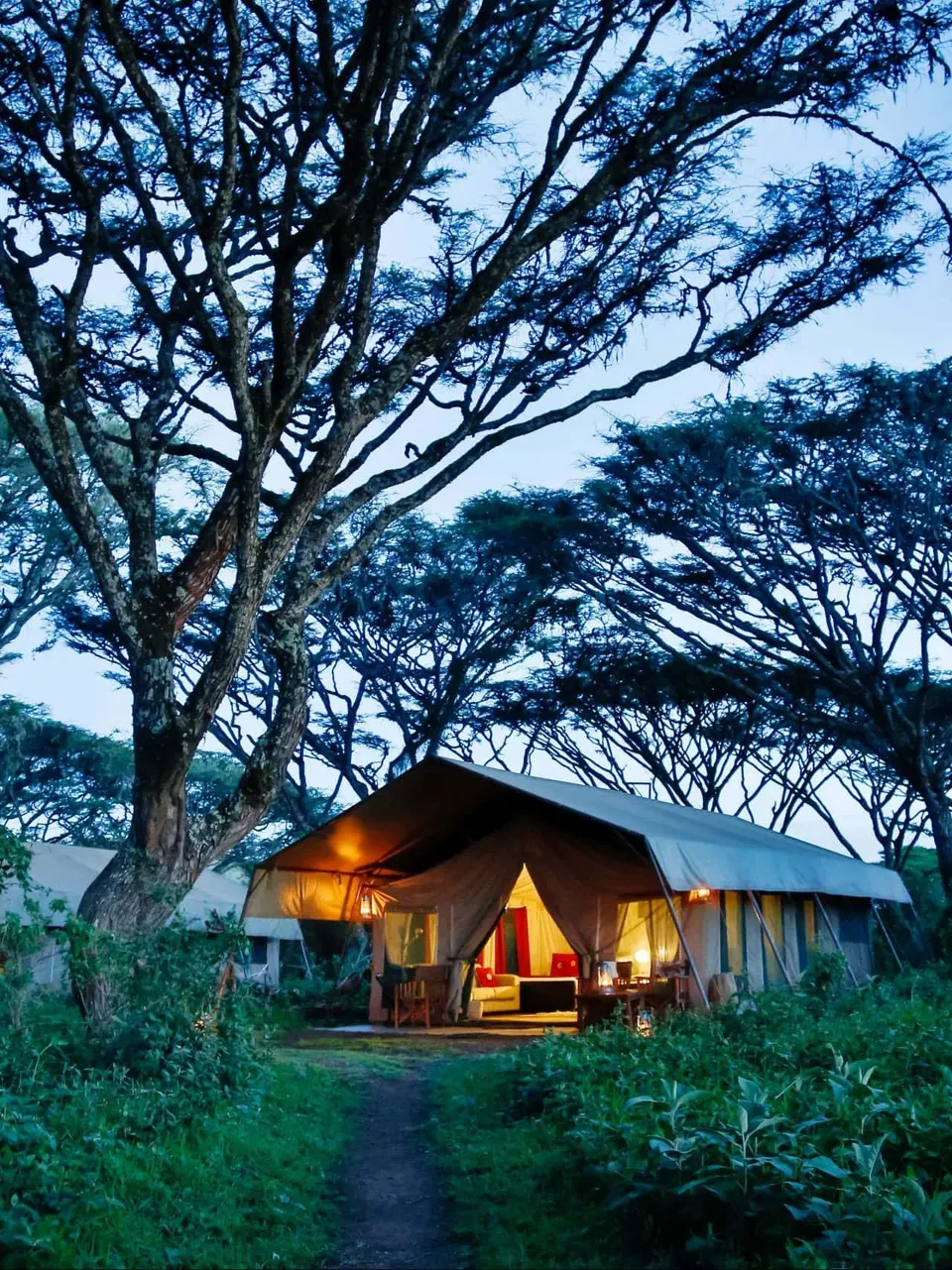 Forest tent exterior at dusk