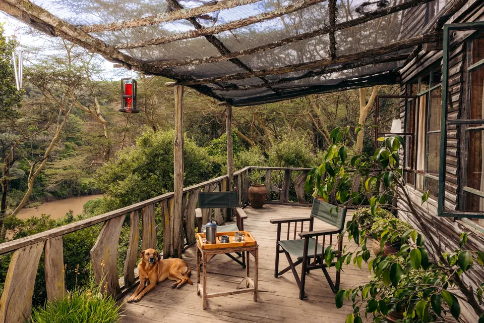 Malu Treehouse veranda among trees