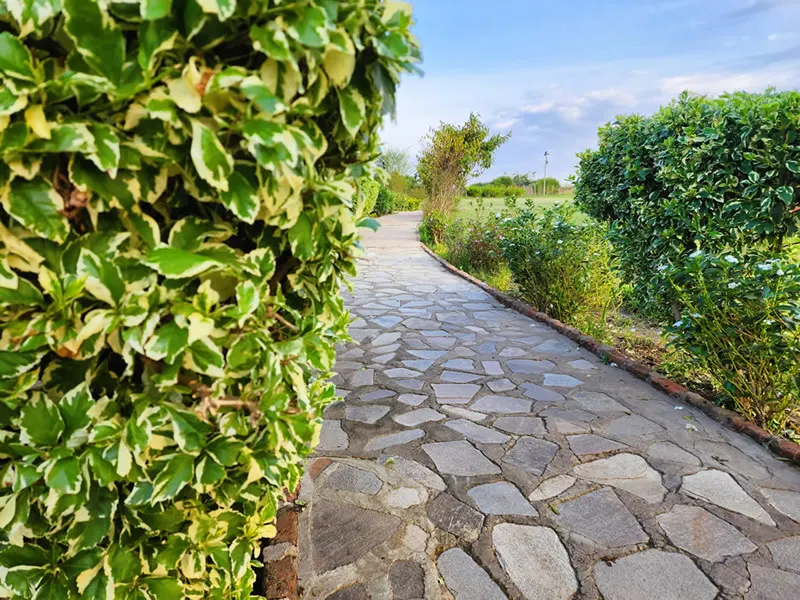 Endeem Mara garden pathway