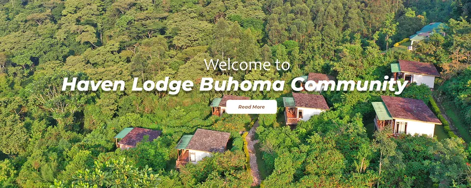 Lodge hillside overview