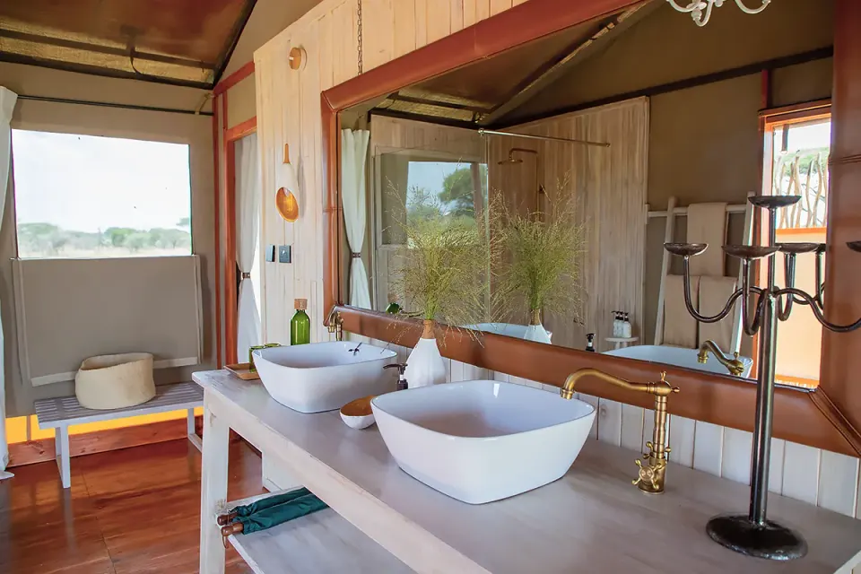 Bathroom double basins