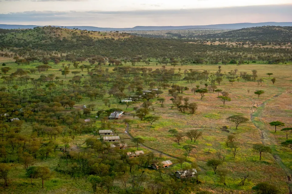 Camp tents in central Serengeti landscape