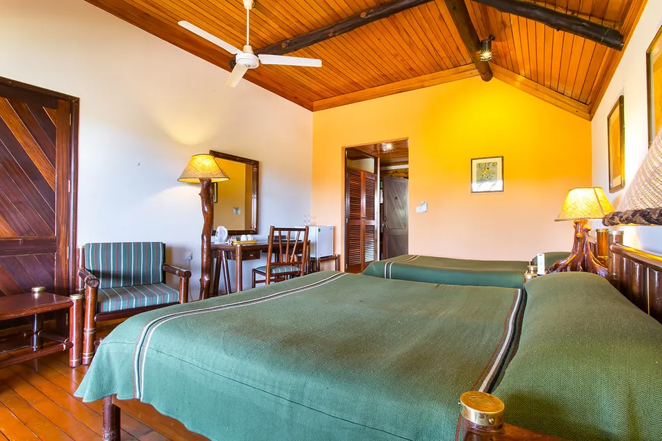 Mara Simba room interior with green bedding