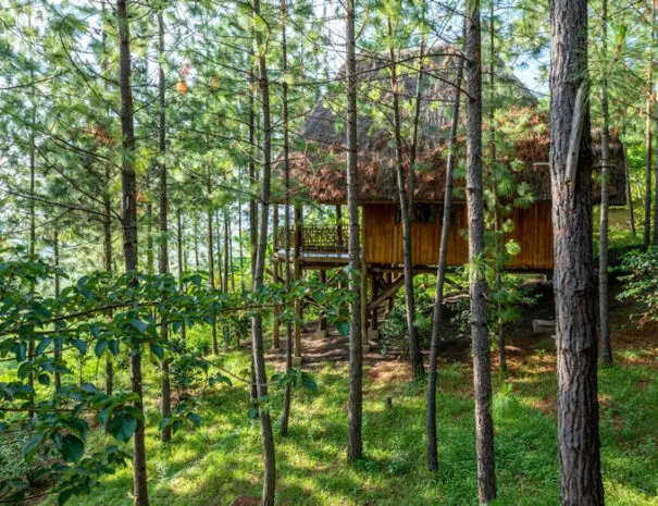 Parkview Safari Lodge photograph