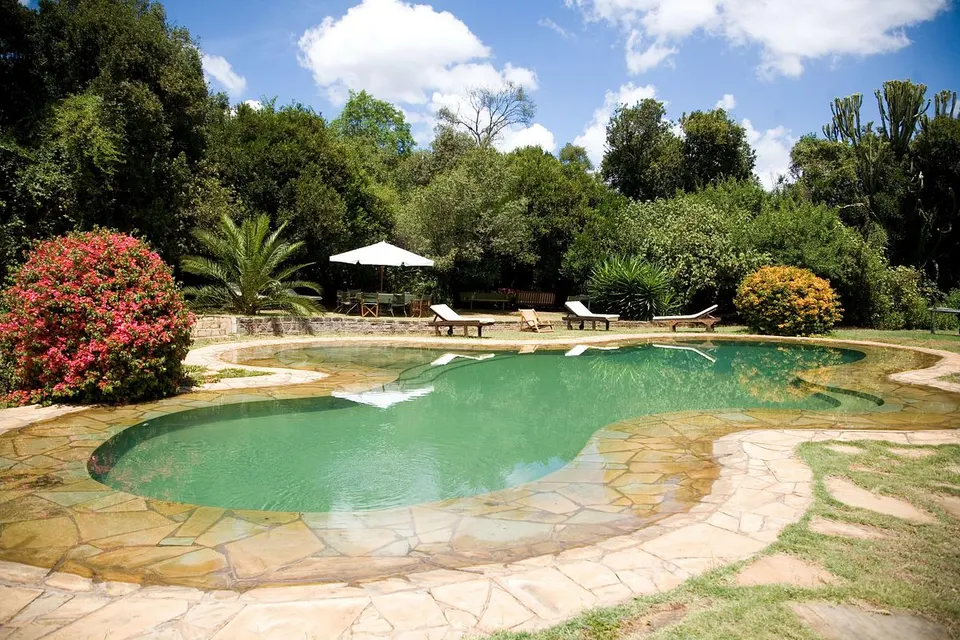 House swimming pool and lawn