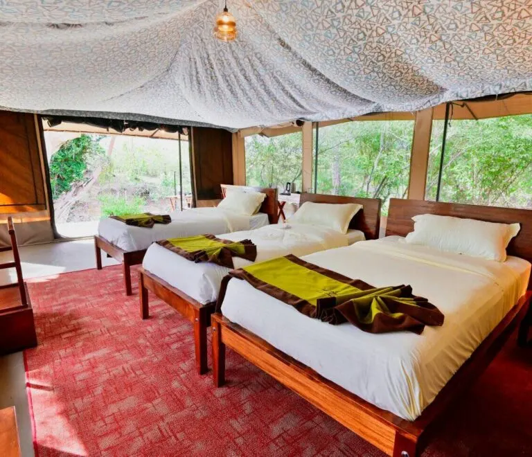 Mtito tent interior with three beds