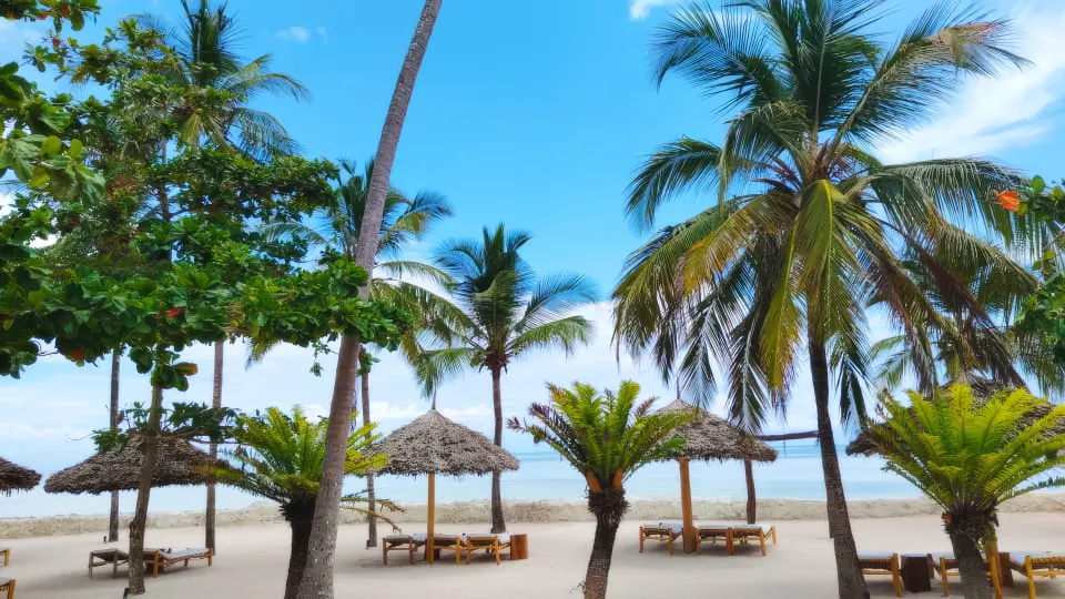 JAZ Amaluna beach umbrellas and loungers
