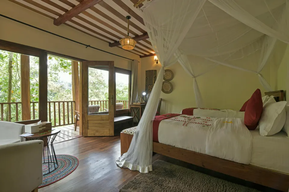 Four Gorillas Lodge bedroom and window-side seating