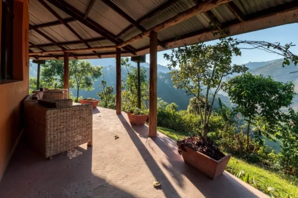 Gorilla Valley Lodge veranda with seating and potted plants