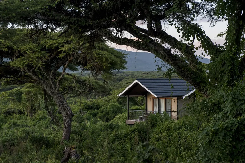 Lion’s Paw family accommodation exterior