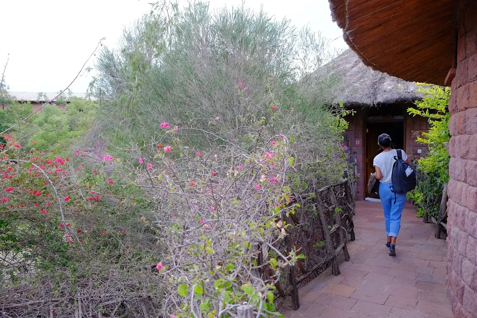 Balcony walkway beside flowering garden plants