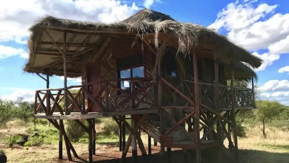 Eco Camp Elevated Room exterior