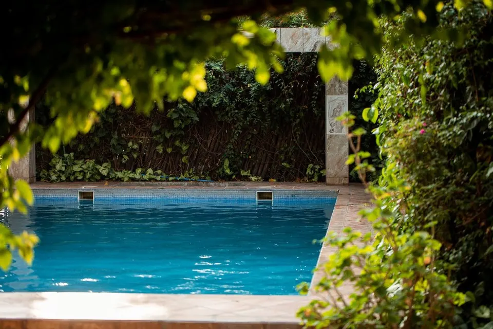 Pool framed by planted grounds
